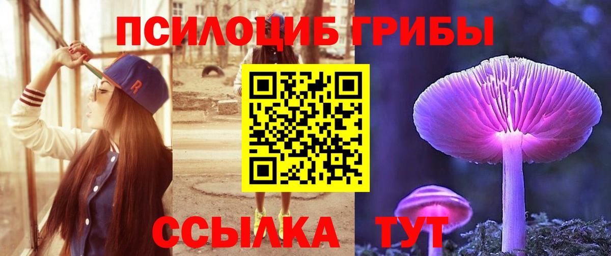 Псилоцибиновые грибы Psilocybe  Галлюциногенные грибы GOLDEN TEACHER  Братск  Вход с VPN 